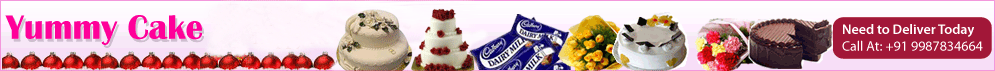 Yummy Cakes