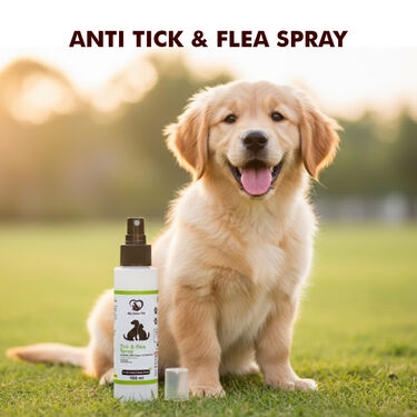 Anti-Tick & Flea Spray For Pets (PET1) Anti-Tick & Flea Spray For Pets (PET1)