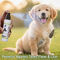 Anti-Tick & Flea Spray For Pets (PET1) Anti-Tick & Flea Spray For Pets (PET1)