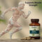 Himalaya Gokshura For Muscle Strength (NUTRA20) Himalaya Gokshura For Muscle Strength (NUTRA20)