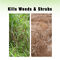 Herbicide Weed Killer Granules Herbicide Weed Killer Granules