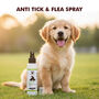 Anti-Tick & Flea Spray For Pets (PET1)