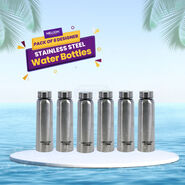 Pack of 6 Stainless Steel Water Bottle (6B10)