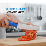 Super Sharp Ceramic Knife (SK4)