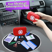 Car First Aid Emergency Box (CFAB)