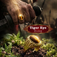 Tiger Eye Ring (MGJC6)