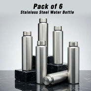 Pack of 6 Stainless Steel Water Bottles (6B11)