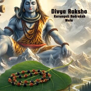 Divya Raksha - Karungali Rudraksh Mala (DRKRM3)