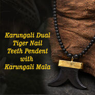Karungali Dual Tiger Nail Teeth Pendant with Karungali Mala (KTPKM1)