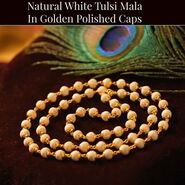 Natural White Tulsi Mala With Golden Caps (SJTM4)