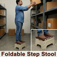 Foldable Step Stool (PF33)