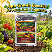 Agro Growth Booster For Plant Fruit & Vegetable (GDN5)