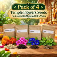 Pack of 4 Daily Pooja Ritual Flower Seeds (GDN7)