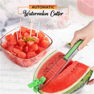 Water Melon Cutter (WMC1)
