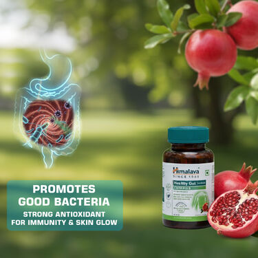 Himalaya Healthy Gut Probiotic Gummies (1 Month) (NUTRA16)