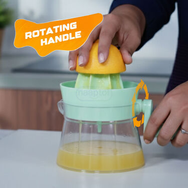 Handy Fruit Juicer (FJ17)