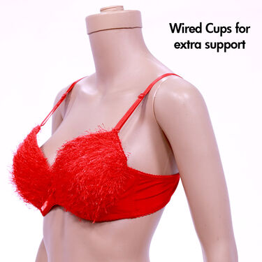 Fancy Plus Size Honeymoon Bra And Panty Set - Pick Any 1 (PBP1)