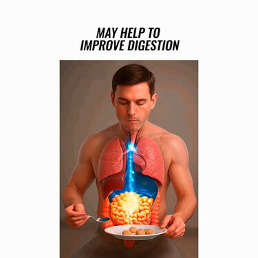 Toilet Squat Stool (PF11)