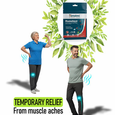 Pack of 12 Muscular Pain Relief Patch By Himalaya (BPR4)