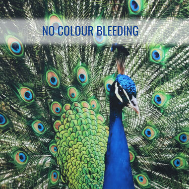 Peacock Printed Curtain (CU14)