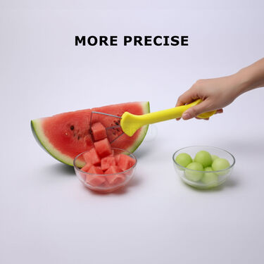 Melon Seeder & Slicer (MELS)