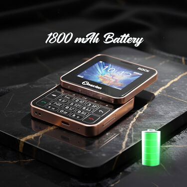 2 Sim Slide Mobile Phone With Camera (DSM GR)