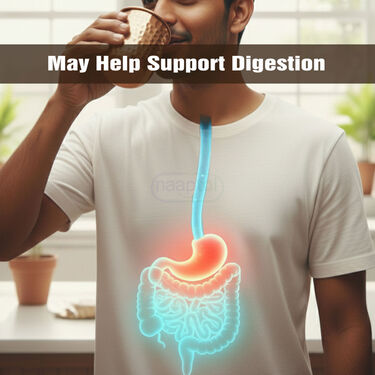 5 Ltr Copper Water Dispenser + 2 Glass & Stand with Free 300ml Copper Bottle (1CD5)