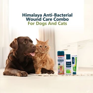 Himalaya Antibacterial Wound Care Combo For Dogs And Cat (PET2)