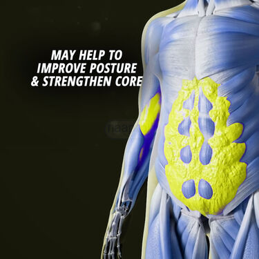 Tummy Twister with Free Sweat Belt (TTSB)