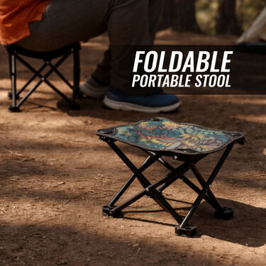 Portable Chair (PF18)