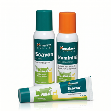 Pet Skin Care Support Combo For Dogs Cats & Vet (PETC4)