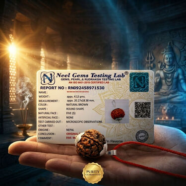 5 Mukhi Rudraksh (5MR)
