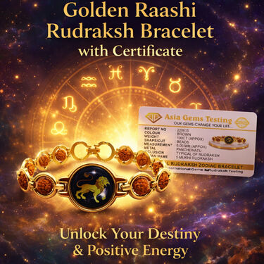 Golden Raashi 5 Mukhi Rudraksh Bracelet With Certificate (RSRB2)