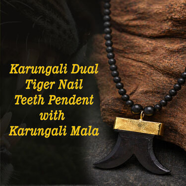 Karungali Dual Tiger Nail Teeth Pendant with Karungali Mala (KTPKM1)