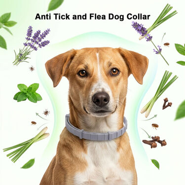 Anti-Tick and Flea Dog Collar (PET12)