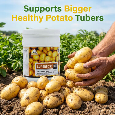 Potato Crop Special Multi Micronutrient Agro Fertilizer (AGR1)