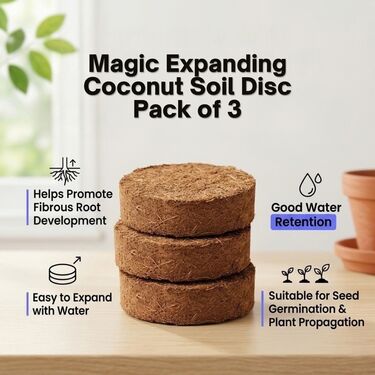 Magic Expanding Coconut Soil Disc Pack of 3 (GDN6)
