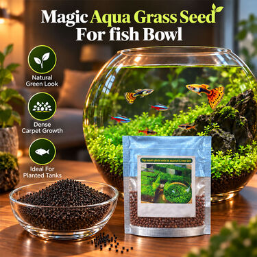 Magic Aqua Grass Seeds For Fish Bowl (GDN12)
