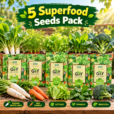 5-In-1 Superfood Vegetable Seeds Combo For Home Garden (GDN16)