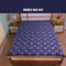 Water Proof Printed Double Bed Mattress Protector Sheet (DMP10)