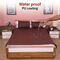 Water Proof Double Mattress Protector Sheet with 2 Pillow Protector Free (DMP8)