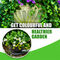 Plant Growth Booster Sticks Pack Of 25 (PFS)