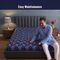 Water Proof Printed Double Bed Mattress Protector Sheet (DMP10)