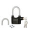 Dual Anti Theft Alarm Lock ( ATL2)