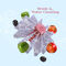 Vegetable Fruit & Meat Washing Bucket (VFB)
