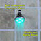 Color Changing Bathing Shower Head (RSH2)