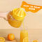 Handy Fruit Juicer (FJ17)