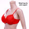 Fancy Plus Size Honeymoon Bra And Panty Set - Pick Any 1 (PBP1)