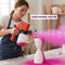 Electric Airless Paint Sprayer (PD41)