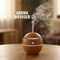 Light Wood Humidifier (PD48)